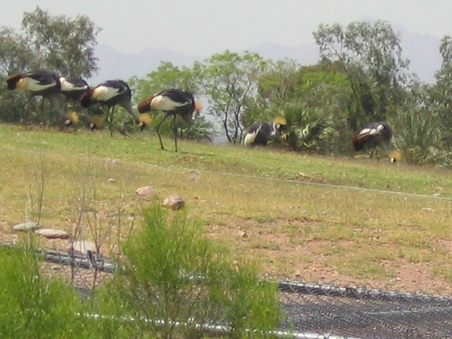 618x457 pixels (191K)